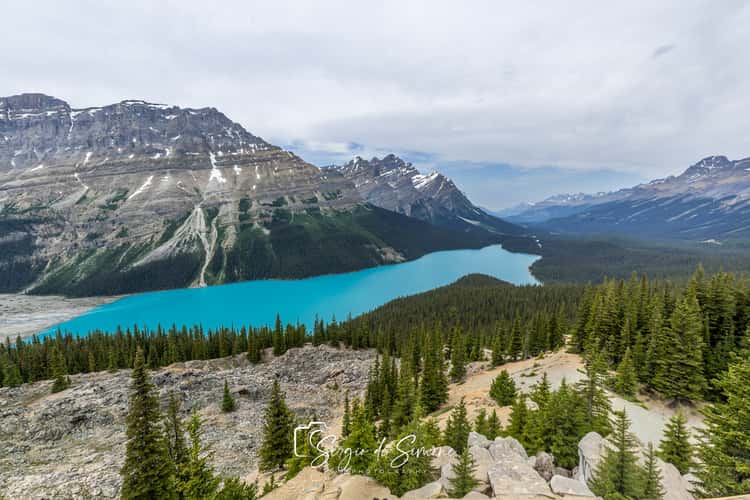 Bow Summit und Peyto Lake