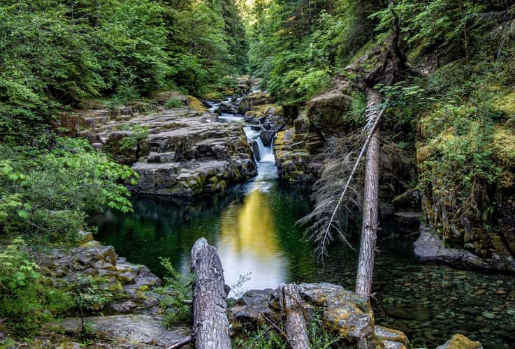 Brice Creek