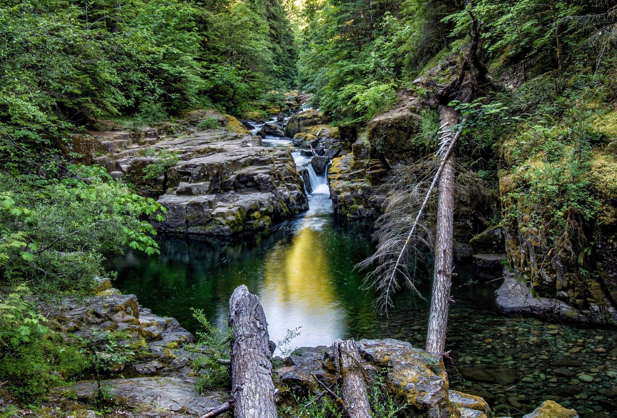 Brice Creek, USA