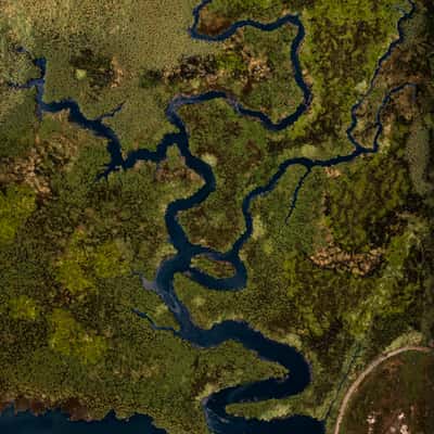Catoira Marshes – Ulla River Estuary, Spain