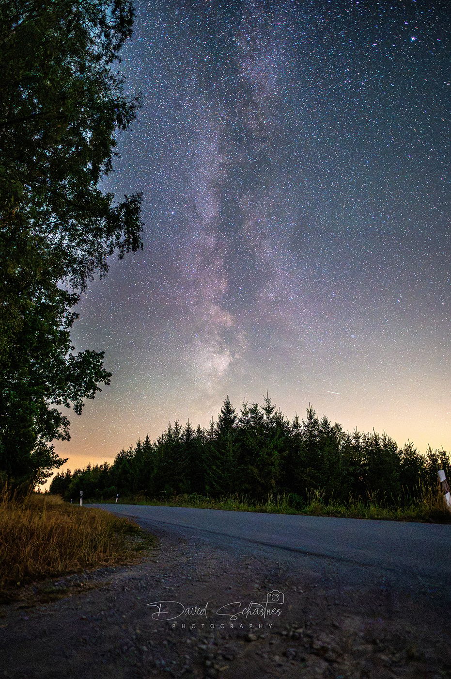 Forest at Oesterberge Parking, Germany