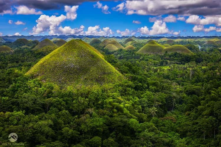 Chocolate Hills