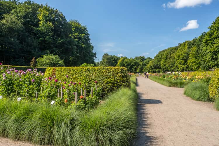 Dahliengarten (Dahlia Garden) Hamburg