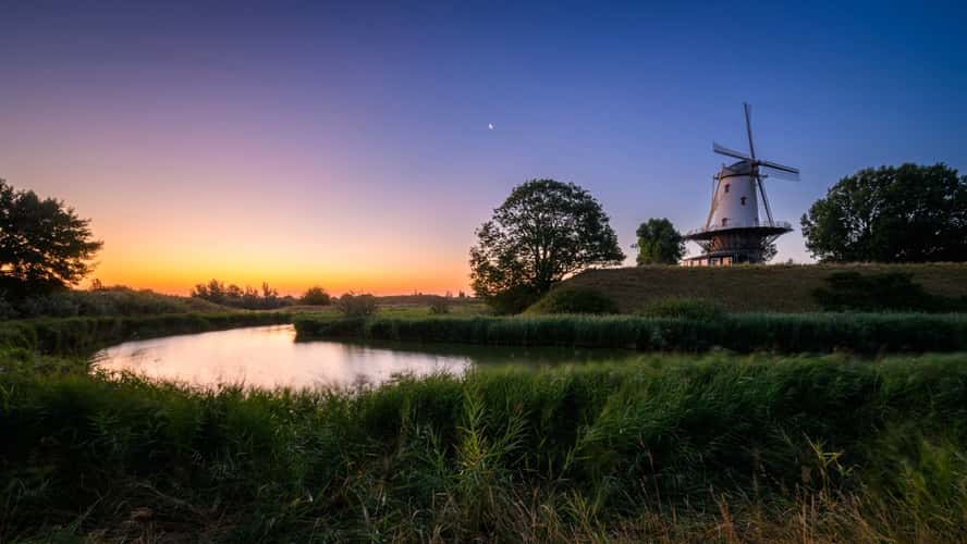 De Koe (Mill of Veere)