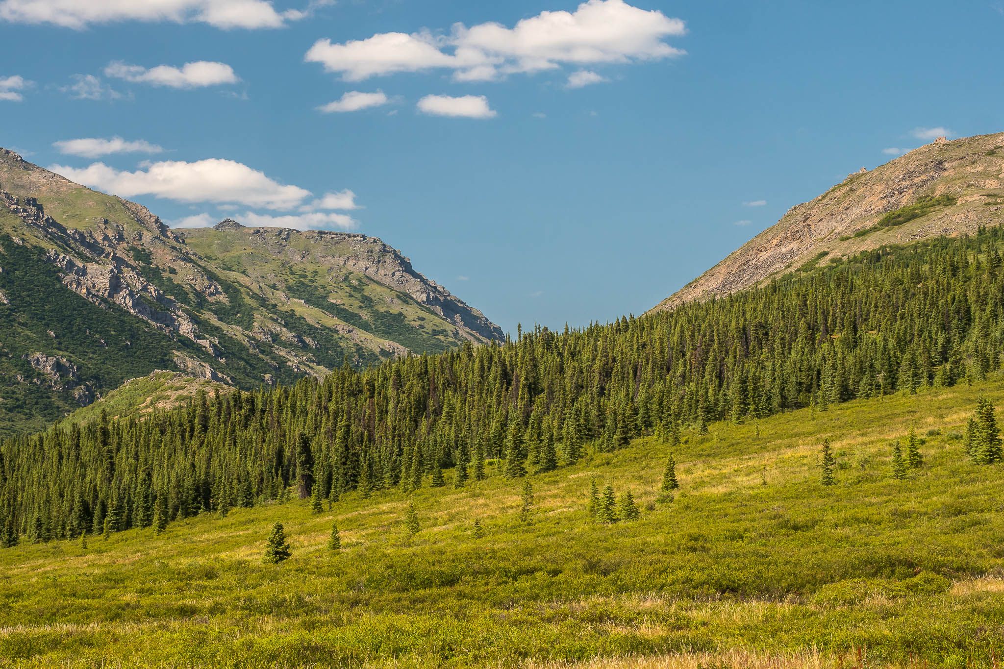 Denali National Park, USA