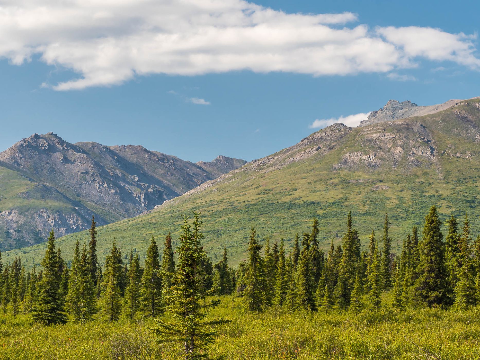 Denali National Park, USA