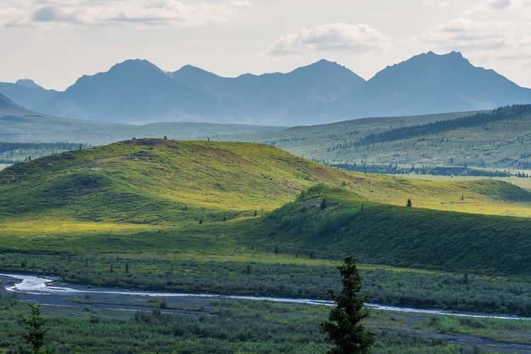 Denali National Park