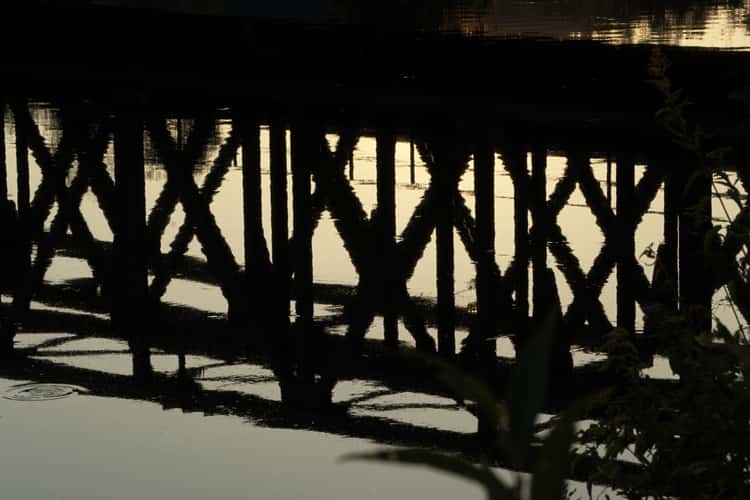 Donaubrücke