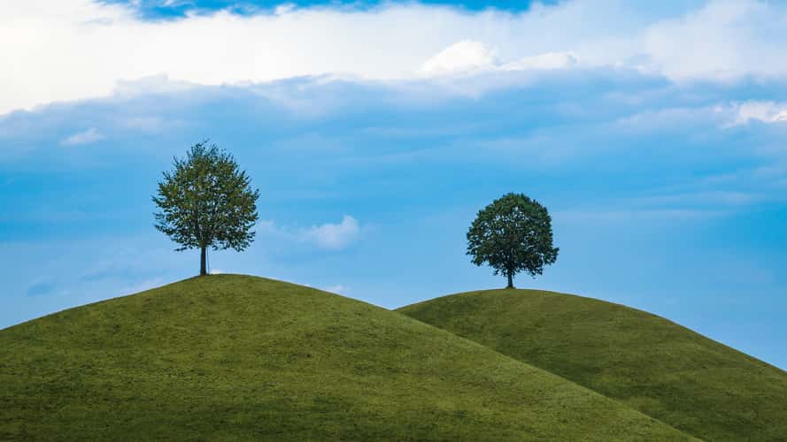 Drumlins Neuheim