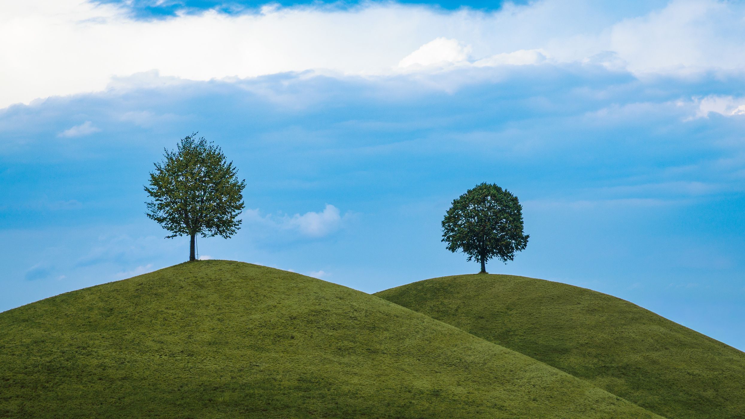 Drumlins Neuheim, Switzerland