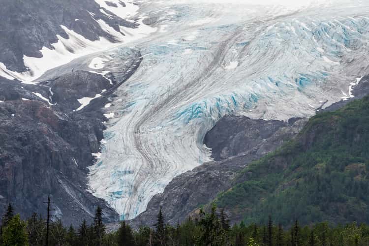 Exit Glacier Viewpoint