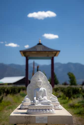 Garden of 1000 Buddhas