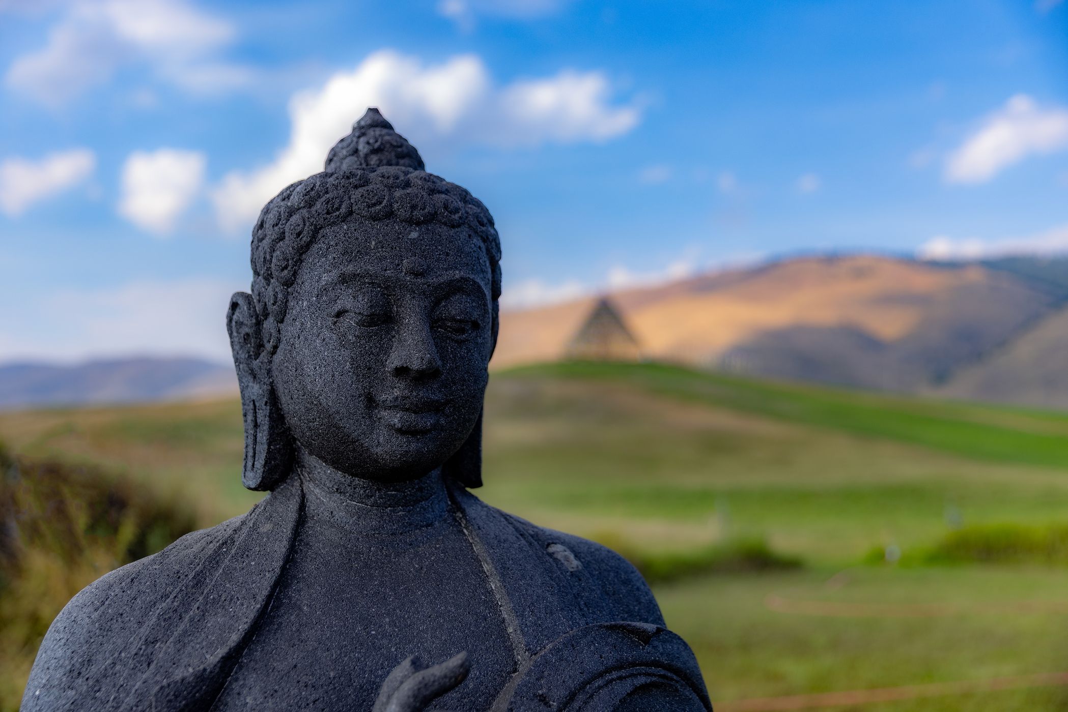 Garden of 1000 Buddhas, USA