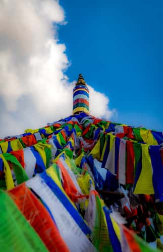 Garden of 1000 Buddhas