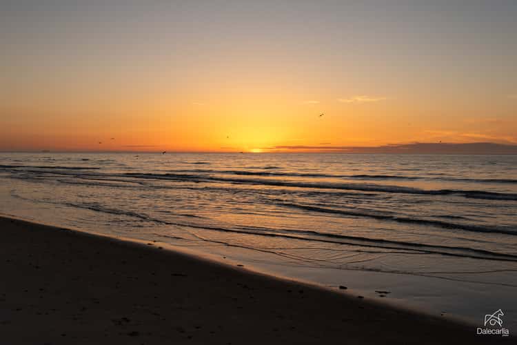 Grenen, Skagen
