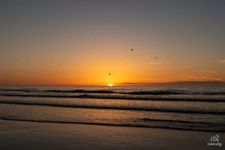 Grenen, Skagen