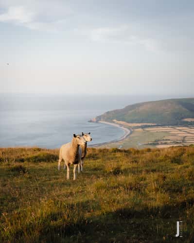 HAWKCOMBE OVERLOOKING PORLOCK