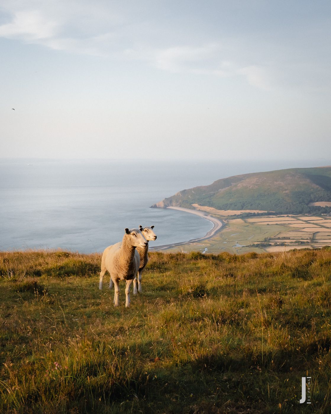 HAWKCOMBE OVERLOOKING PORLOCK, United Kingdom