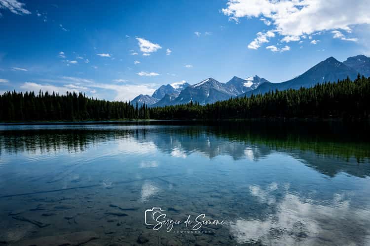 Herbert Lake