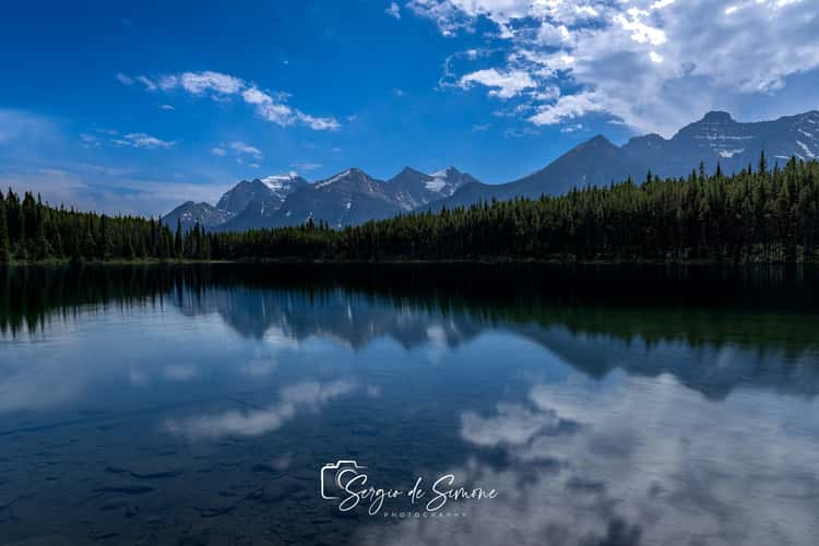 Herbert Lake