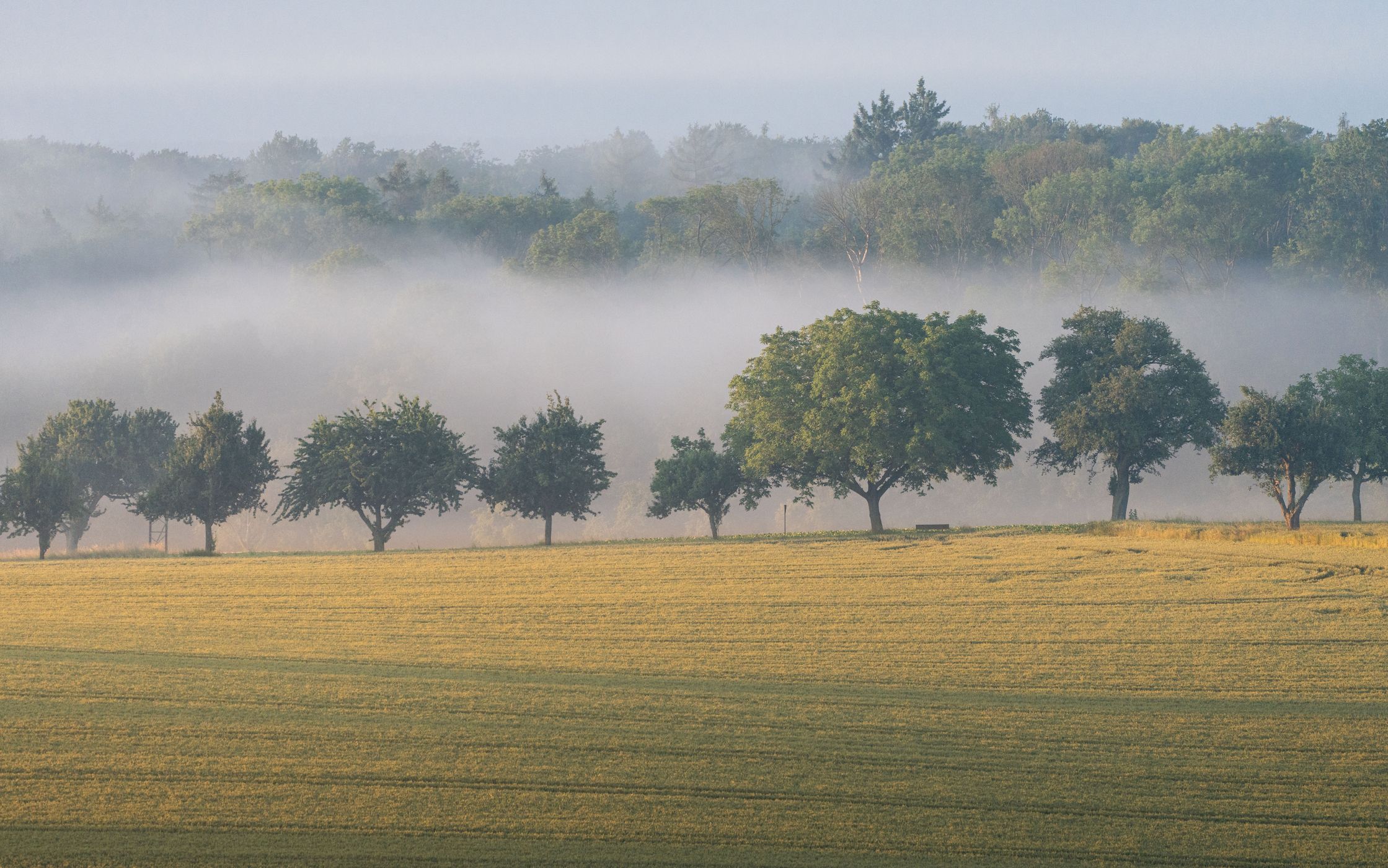 Kraichgau hills from Burg Steinsberg, Germany