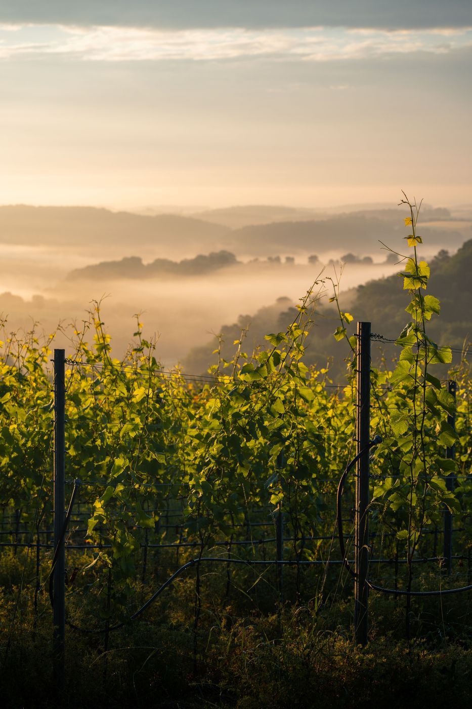 Kraichgau hills from Burg Steinsberg, Germany