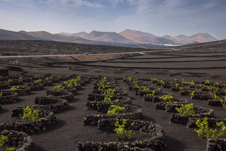 La Geria, Lanzarote