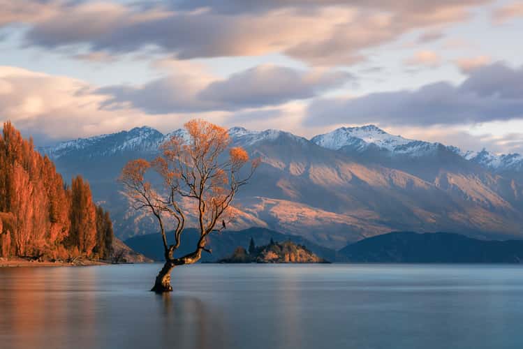 Lake Wanaka - The lonely Tree