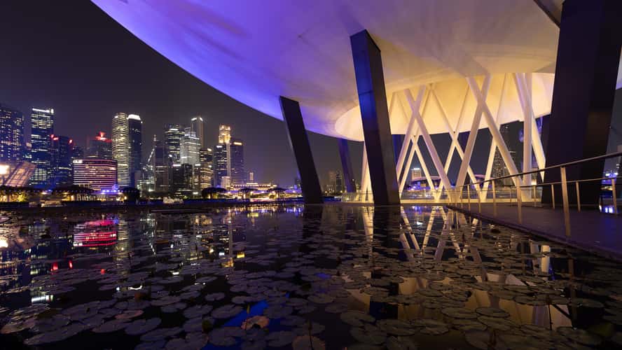 Lotus Pond of the ArtScience Museum Singapore