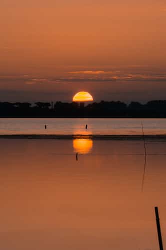 Massaciuccoli Lake