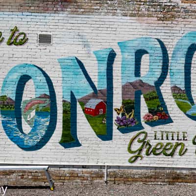 Monroe Mural, USA