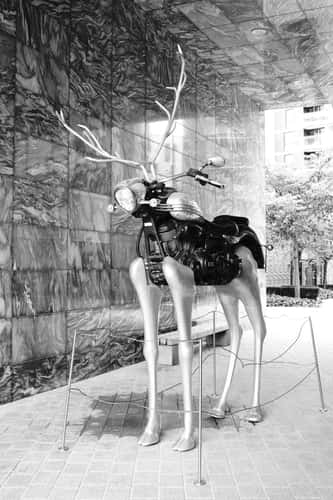 Moose meets Motobike