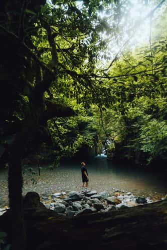 Mtirala Nationalpark Lake, Georgia