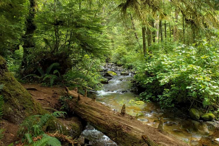 Necarney Creek