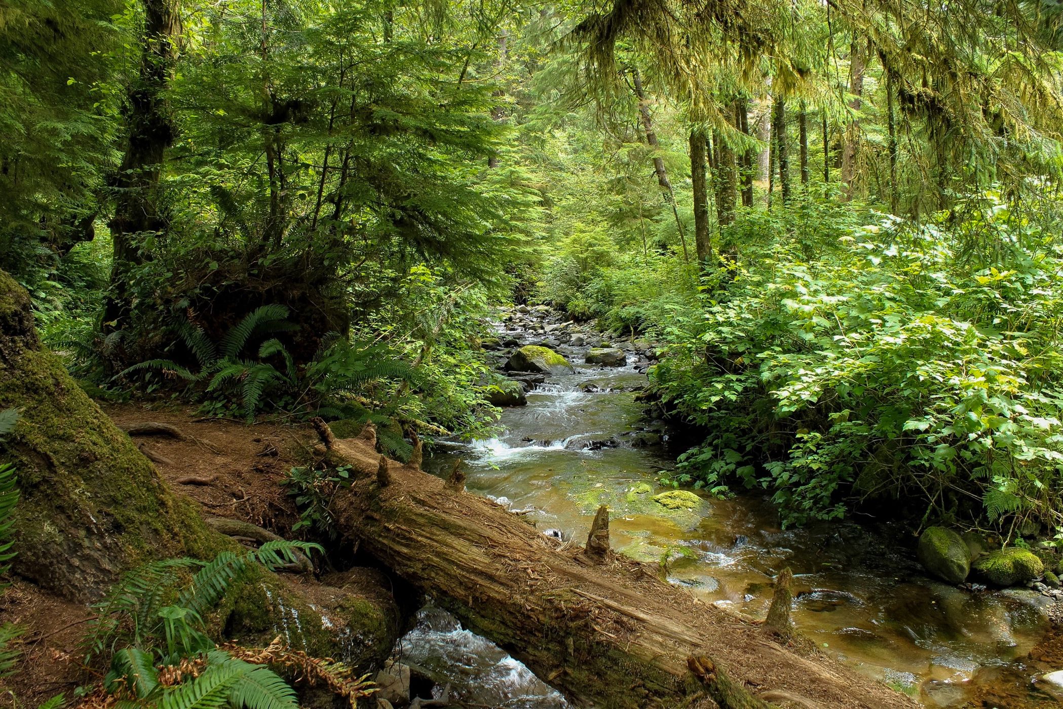 Necarney Creek, USA