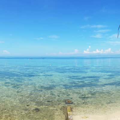 Oslob. The Philippines, Philippines
