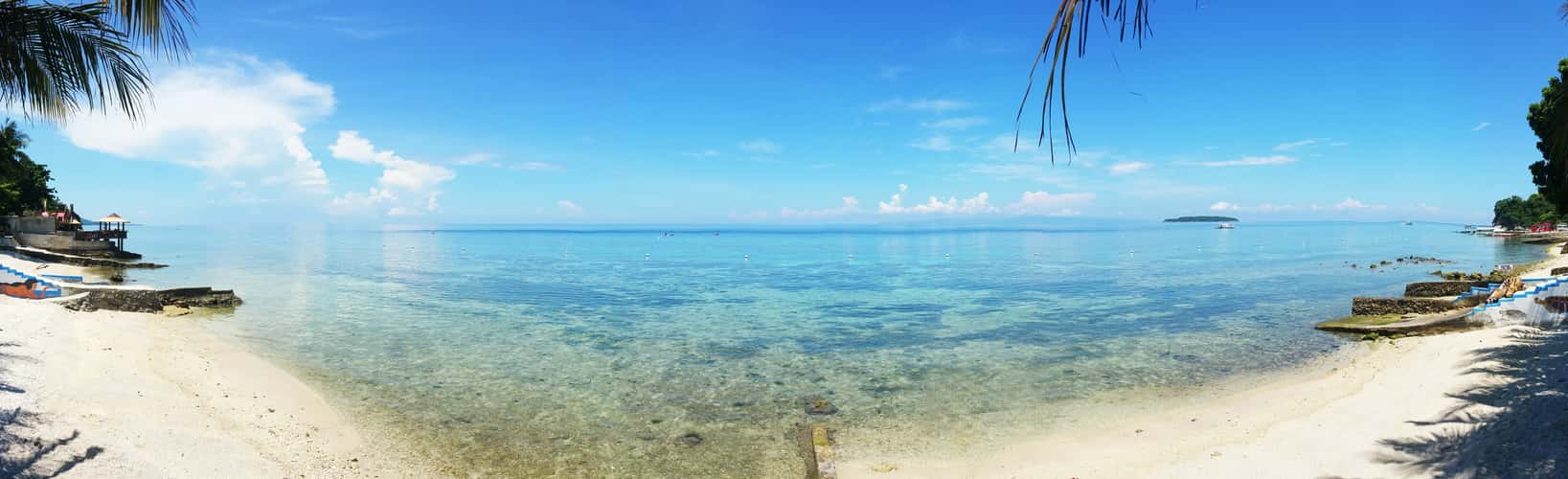 Oslob. The Philippines