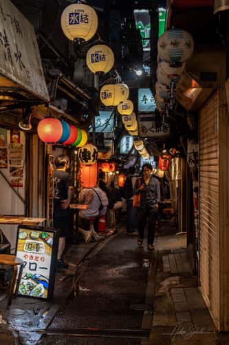 Piss Alley / Omoide Yokocho