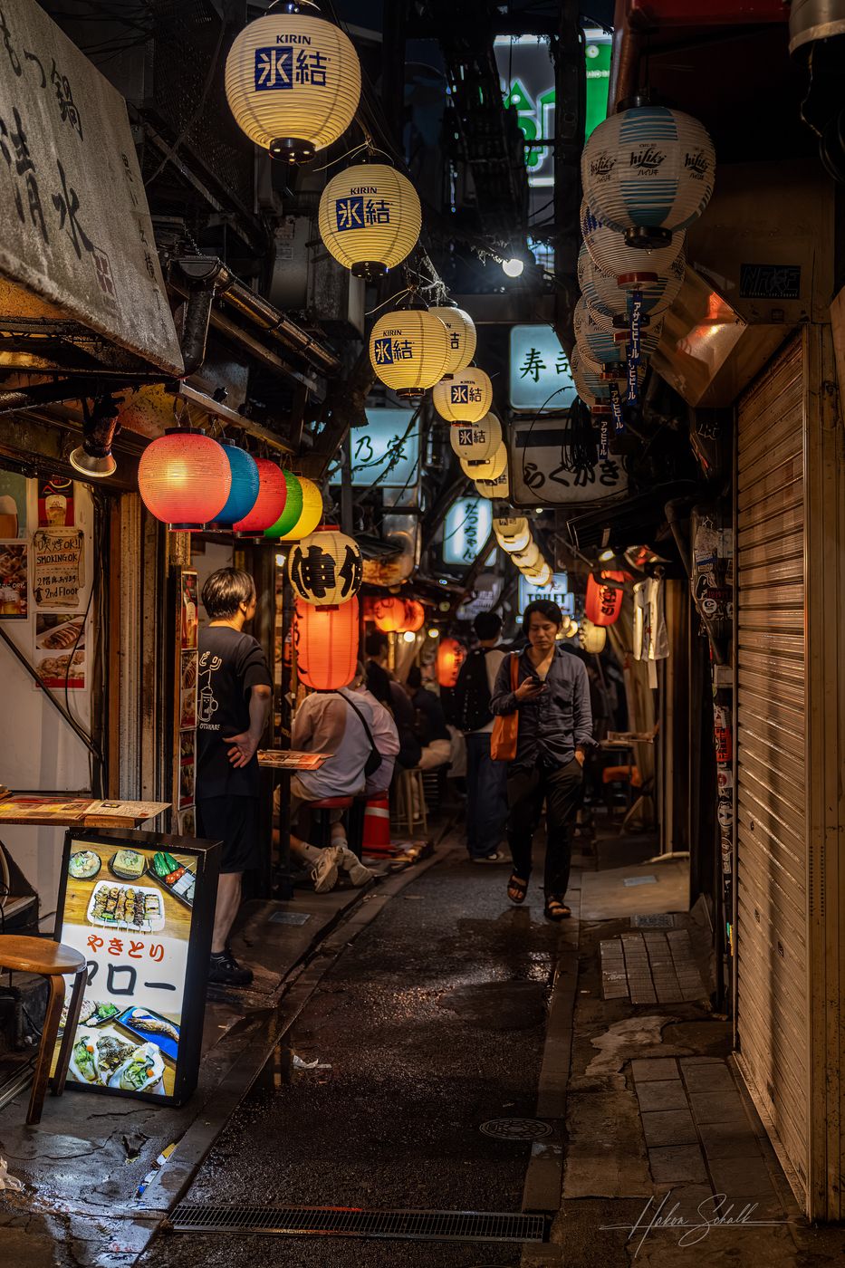 Piss Alley / Omoide Yokocho, Japan
