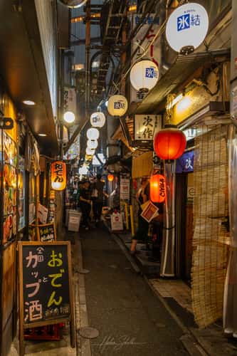 Piss Alley / Omoide Yokocho