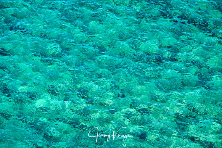 Platja Estanys from Hotel Iberostar