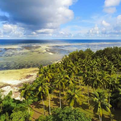 Poivre island coconut plantation, Seychelles