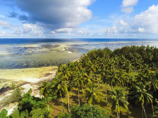 Poivre island coconut plantation