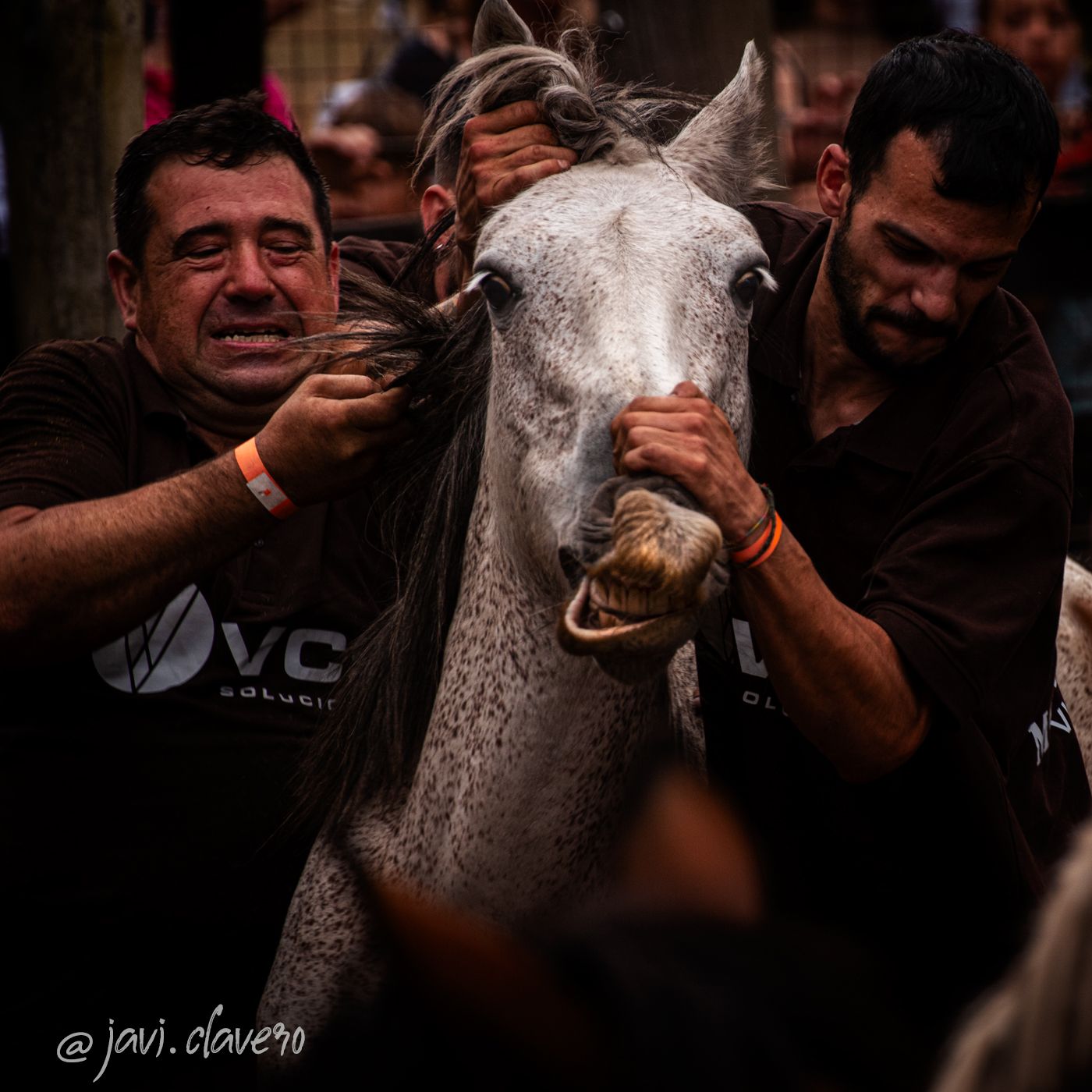 Rapa das Bestas, Spain