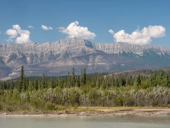 Roche Miette viewpoint
