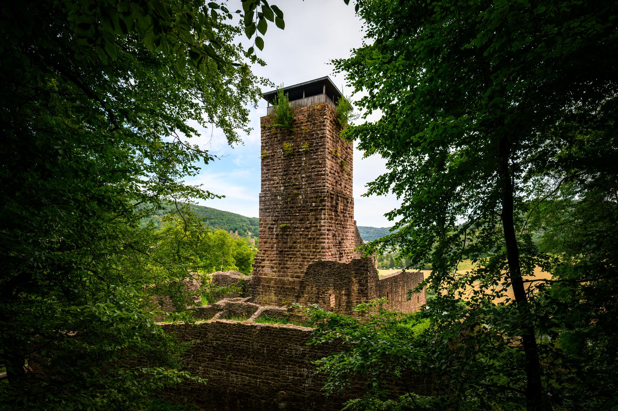 Ruine Hinterburg, Germany