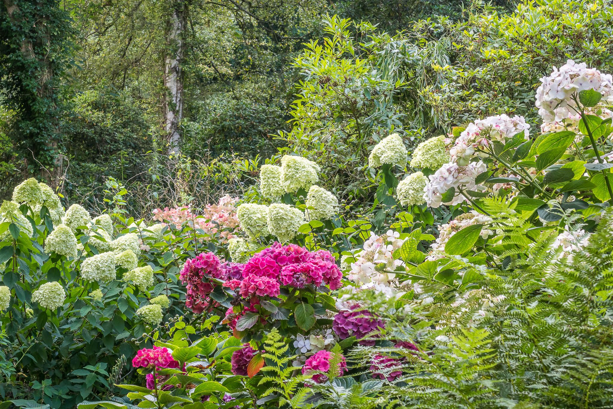 Schlossgarten Oldenburg, Germany