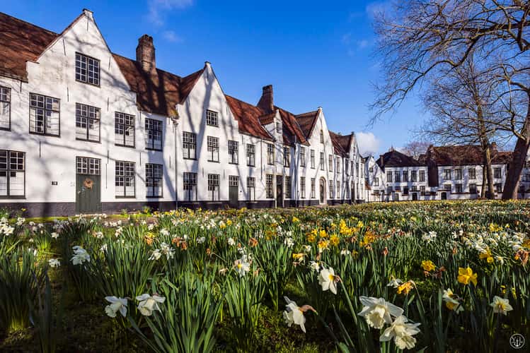 Schwanentanz, Bruges