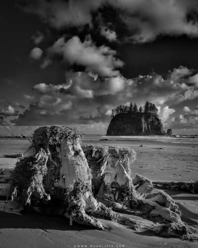 Second Beach Sea Stacks