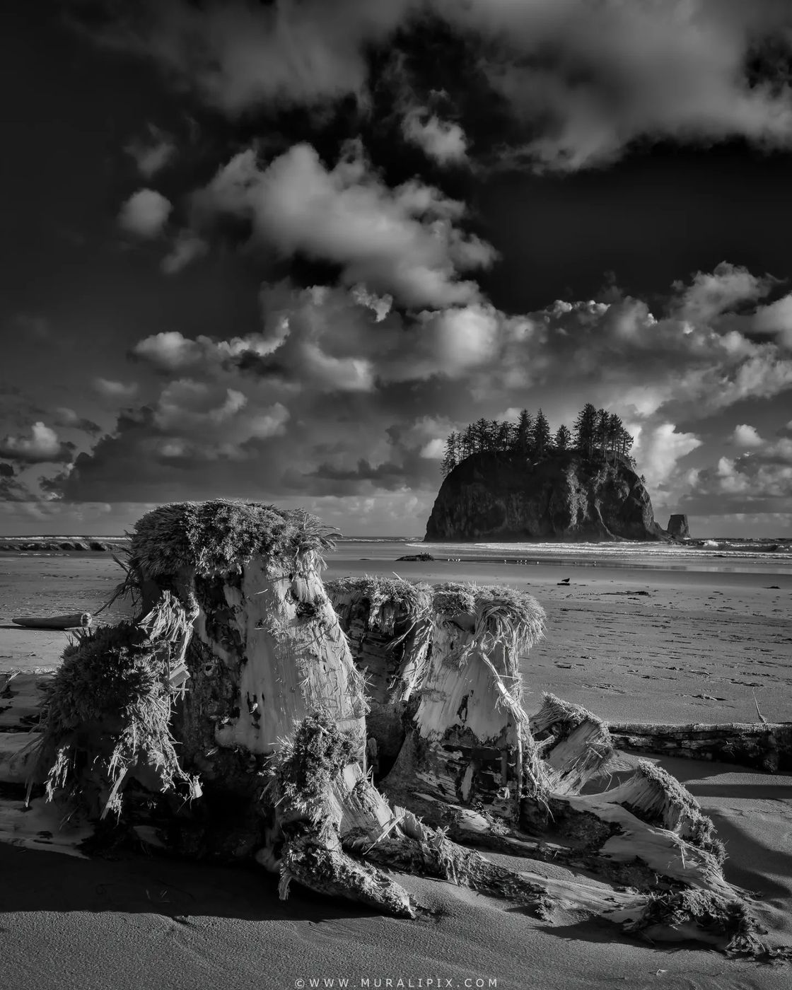 Second Beach Sea Stacks, USA